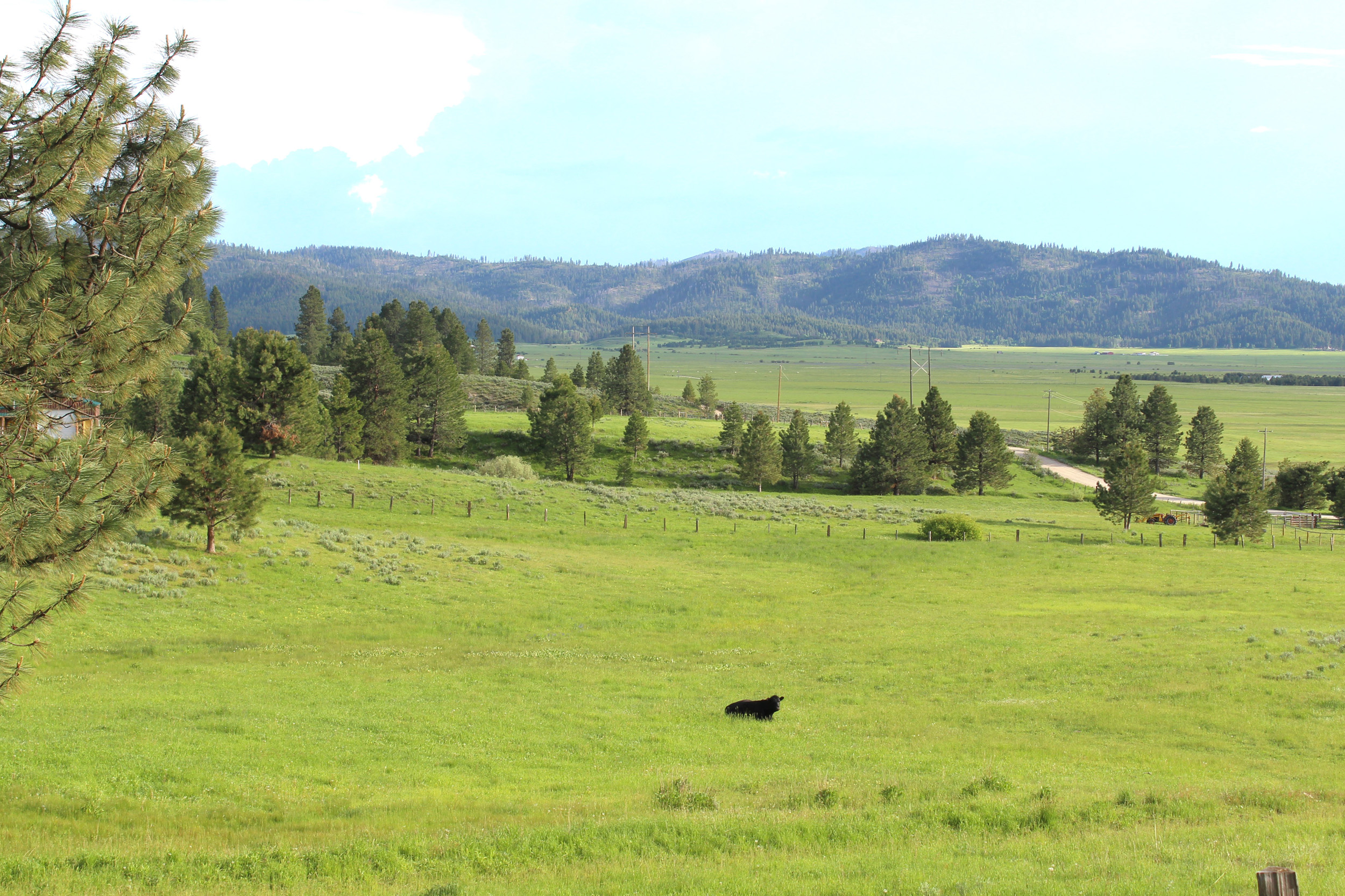 Cascade Lake Realty Bare Land 7 to 15 Acres